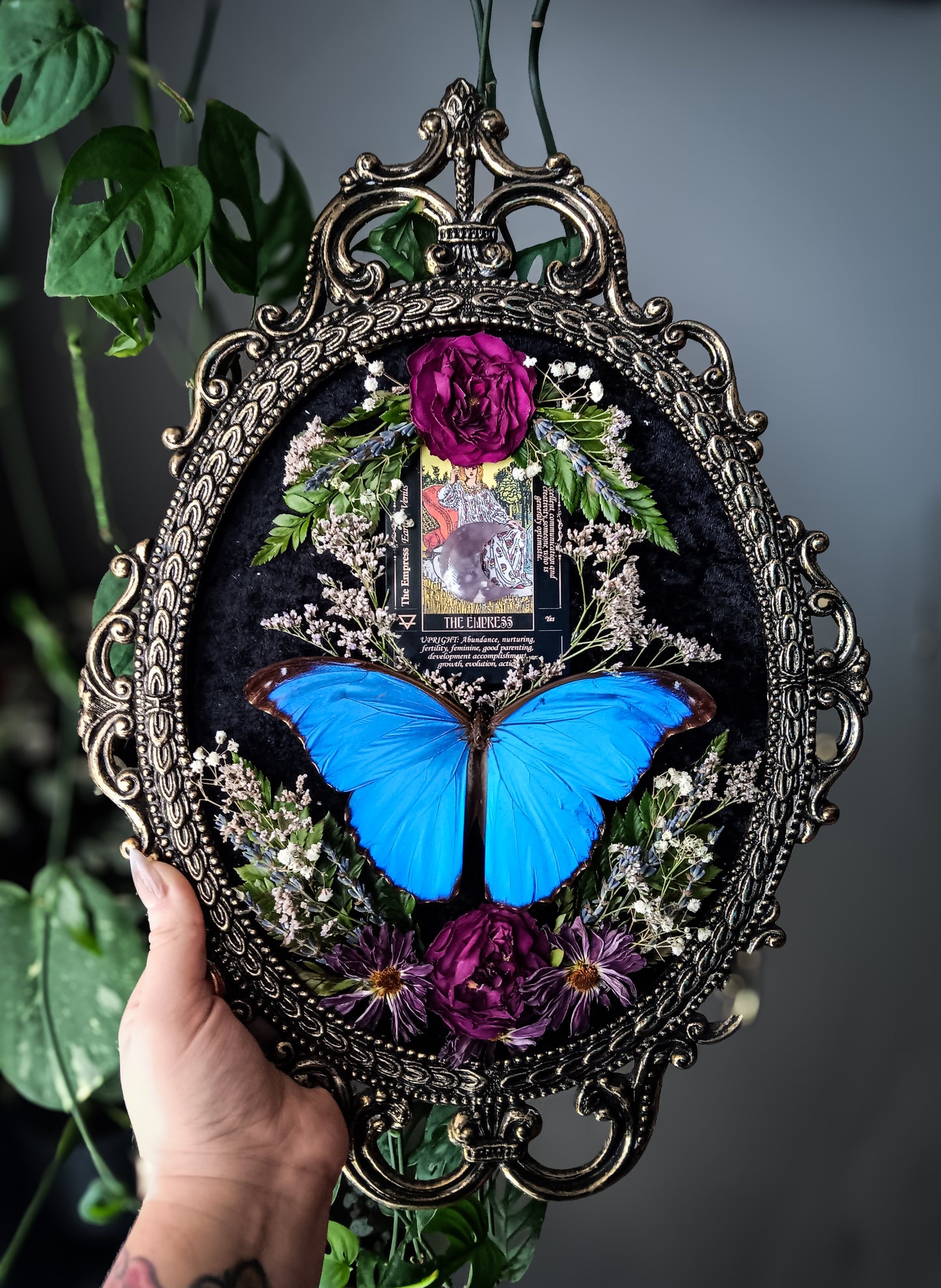 Morpho tarot bubble glass frame