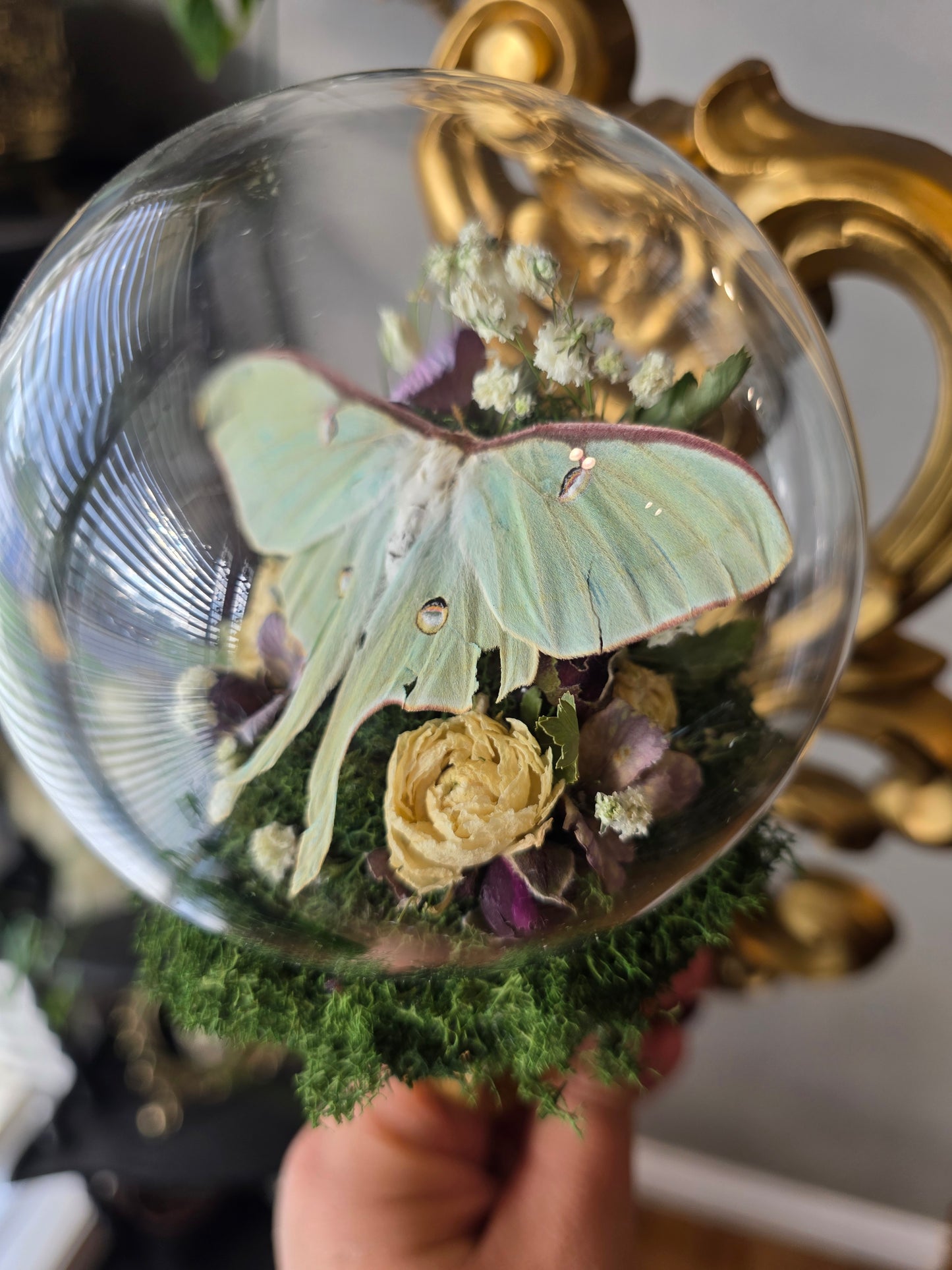 1 Luna sconce