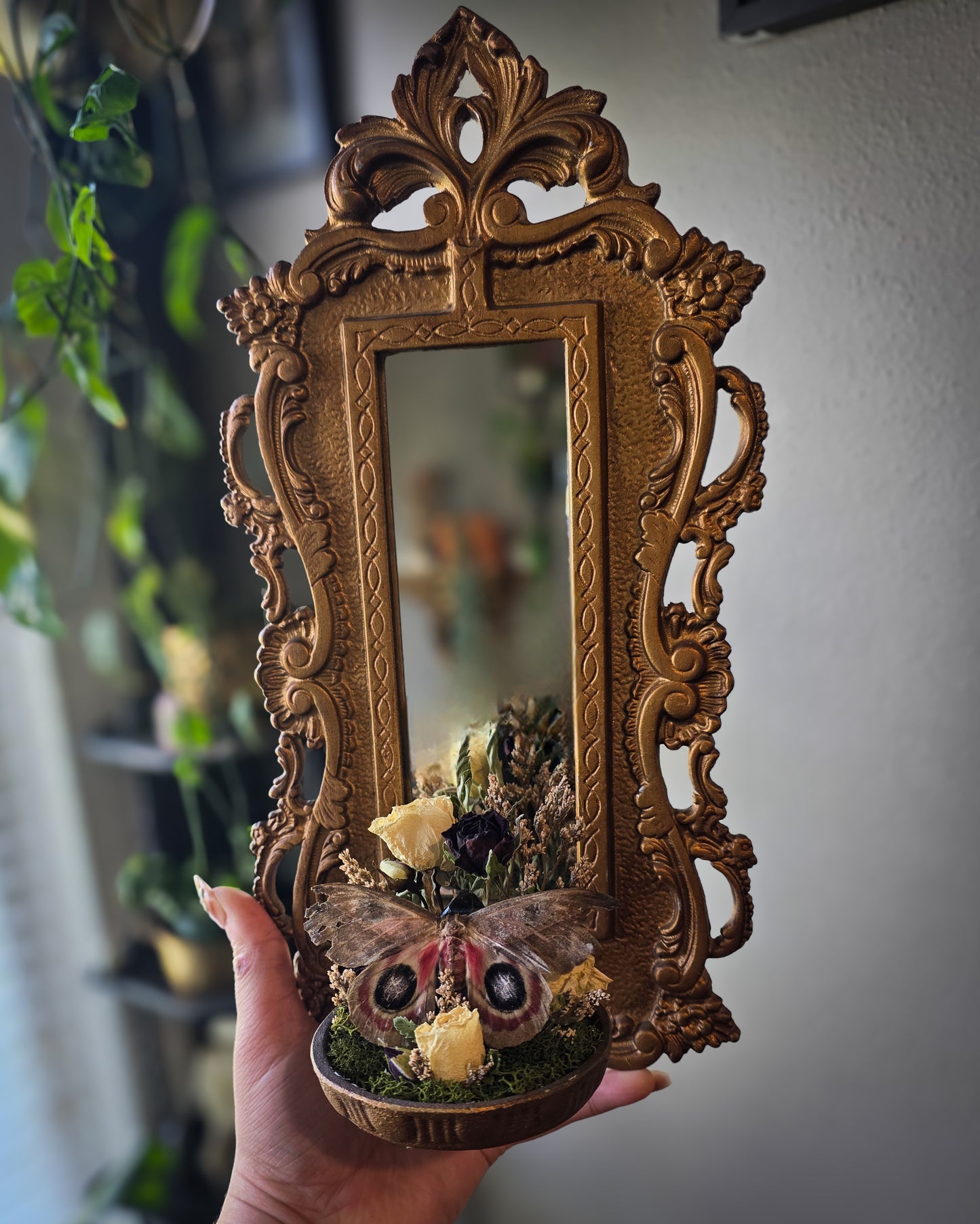 Automeris metzli mirror sconce