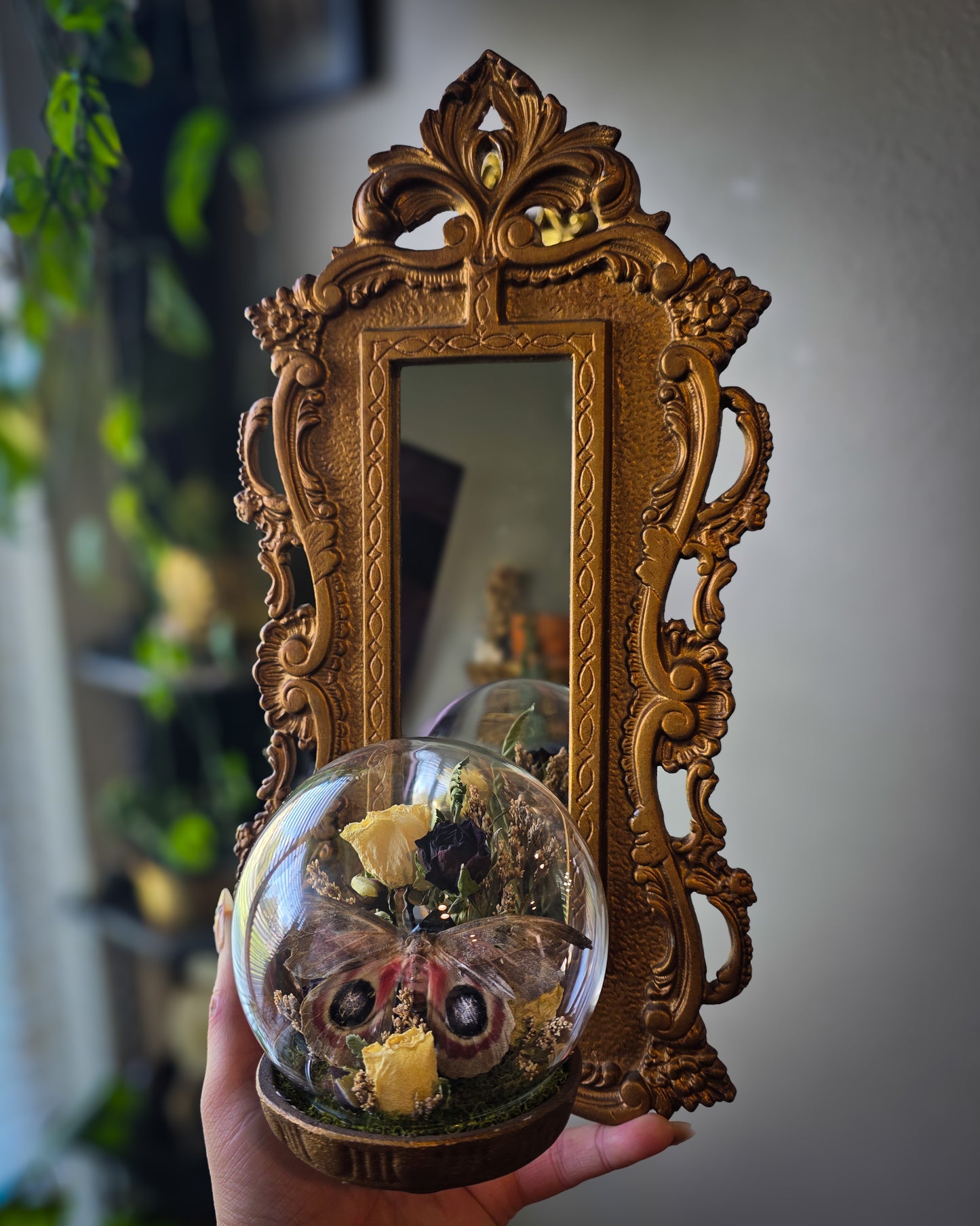 Automeris metzli mirror sconce