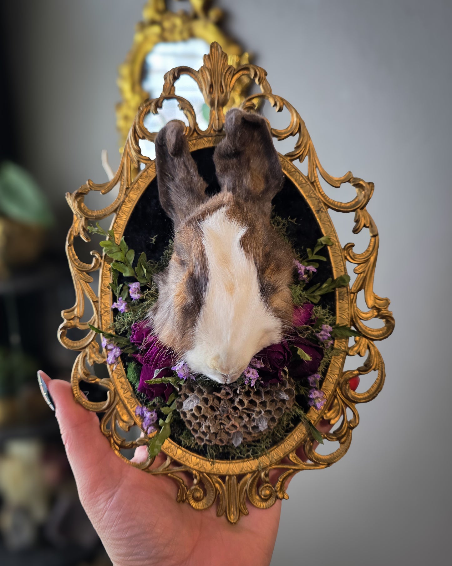 1 Bunny head ✨️