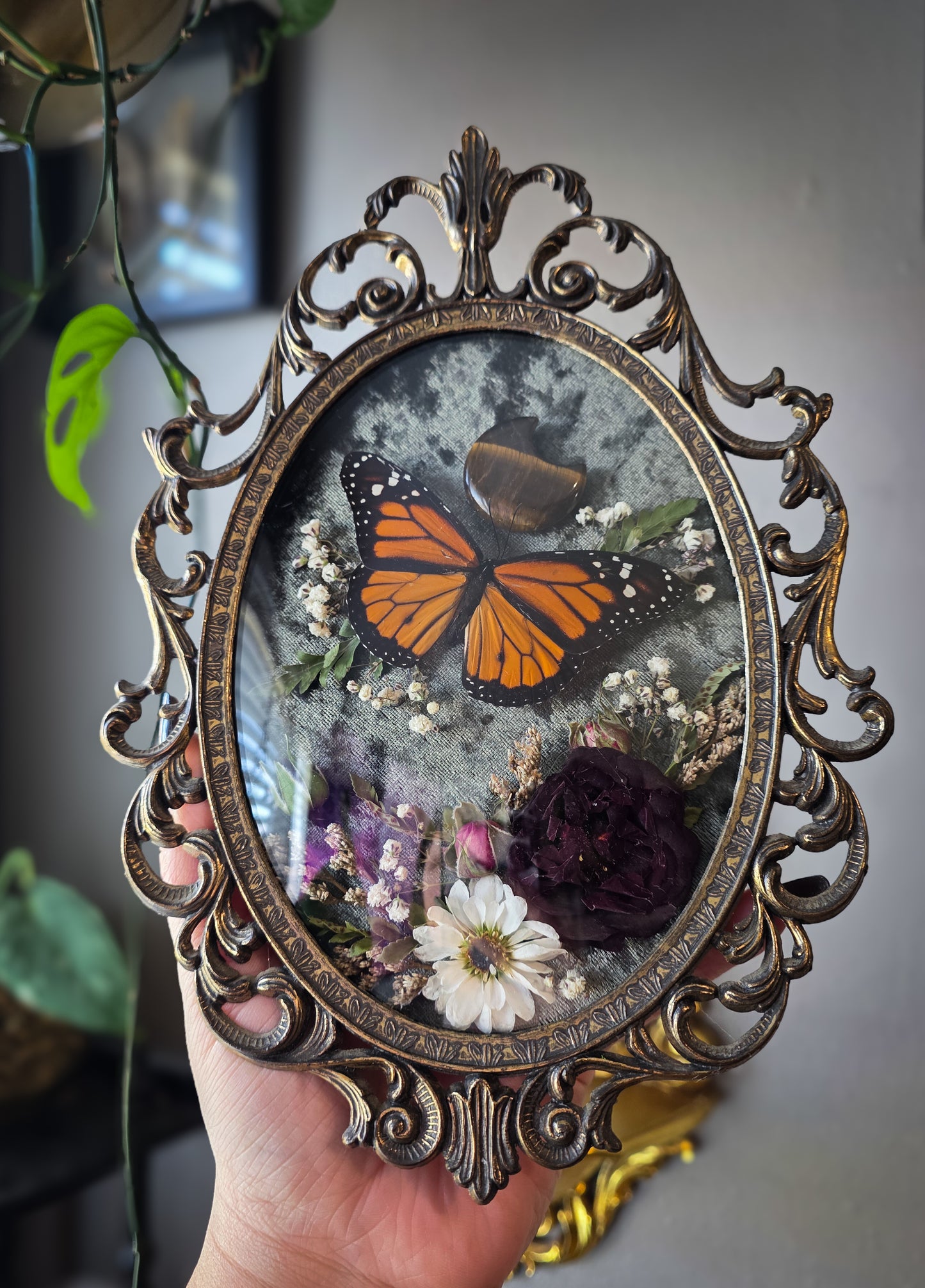 1 Tigers eye monarch