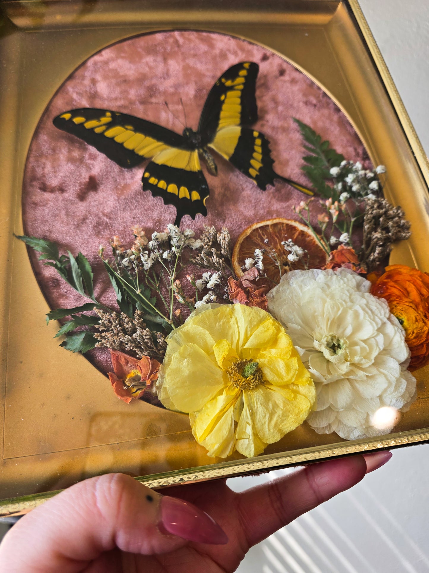 Mcm swallowtail