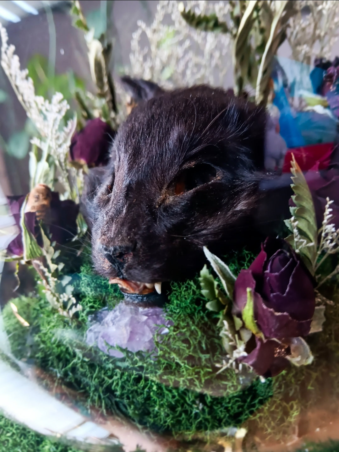 Sebastian