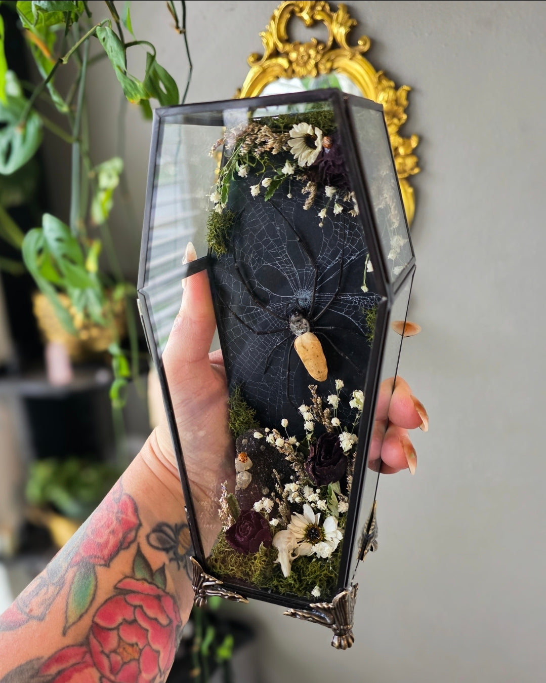 Orb weaver coffin