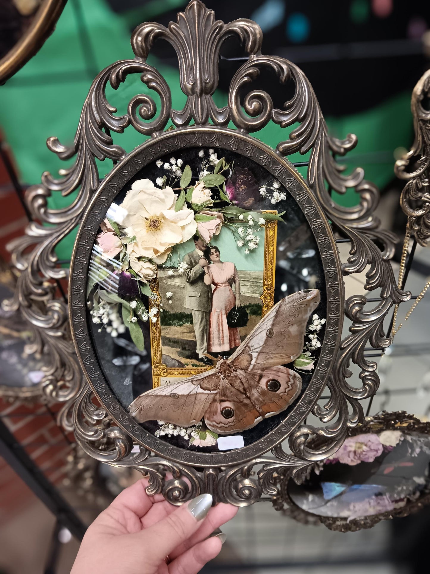 vintage post card framed moth