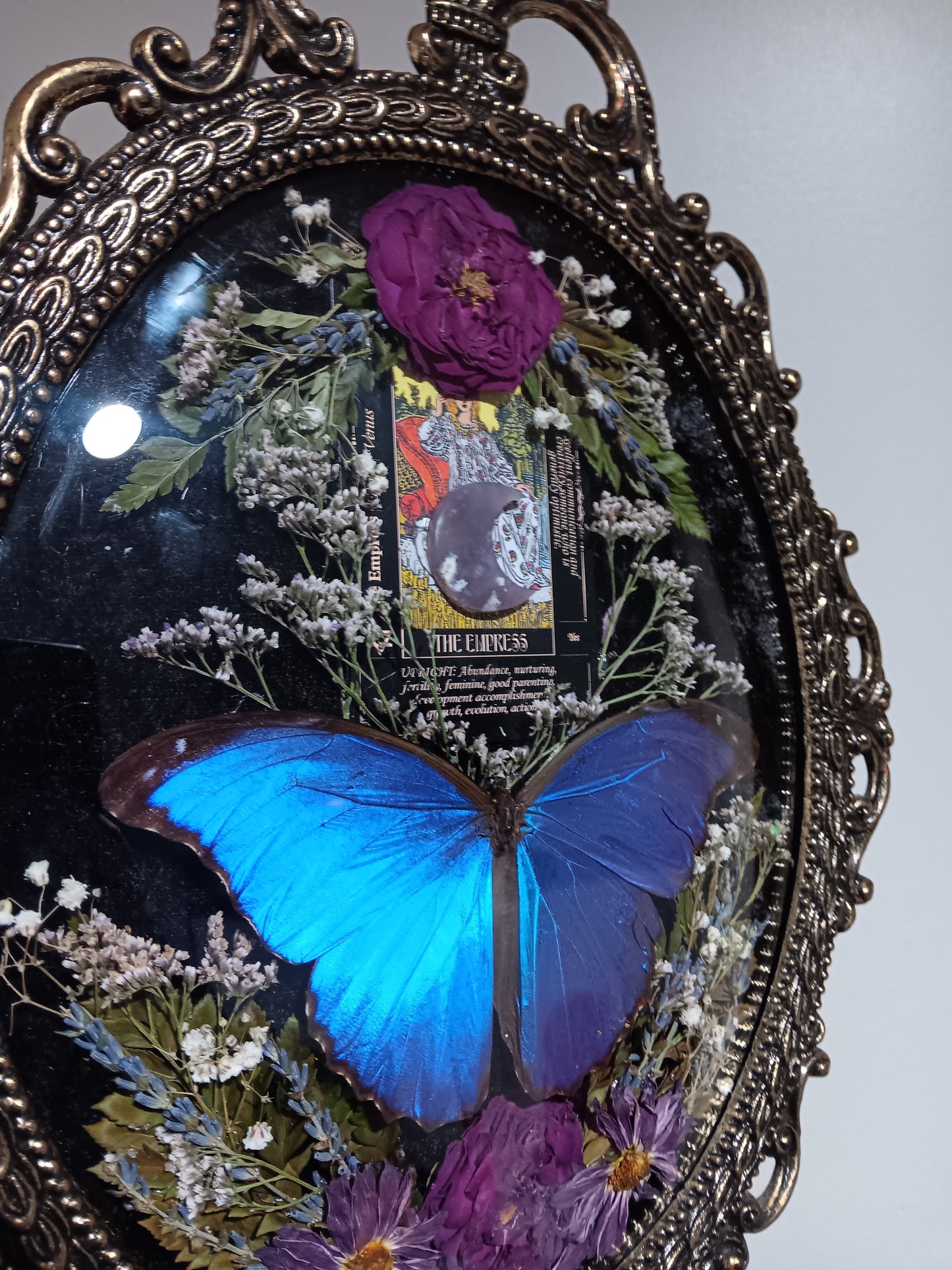 Morpho tarot bubble glass frame
