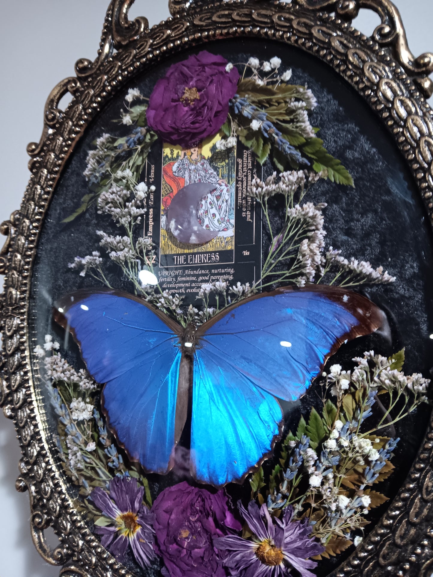 Morpho tarot bubble glass frame