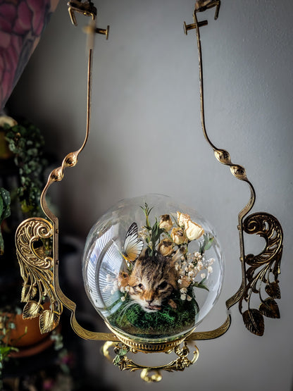 Hanging kitten globe