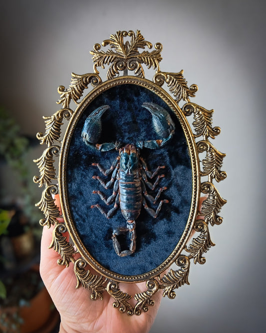 Scorpio szn