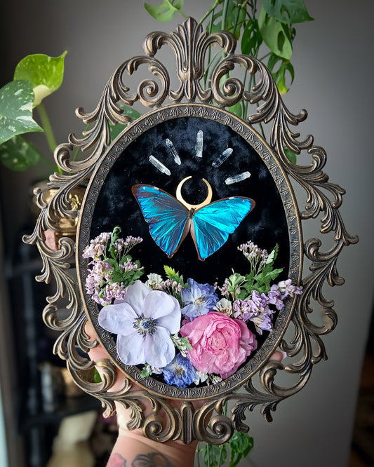 Morpho moon