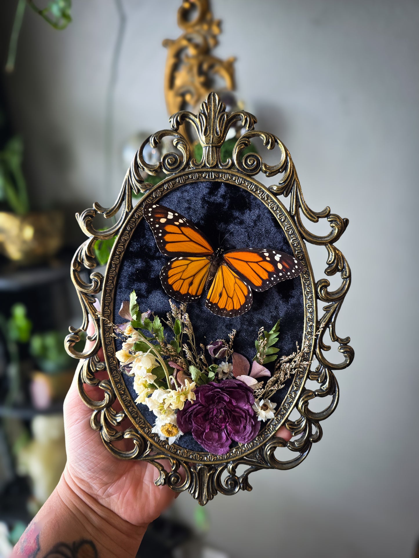 1 Monarch madness