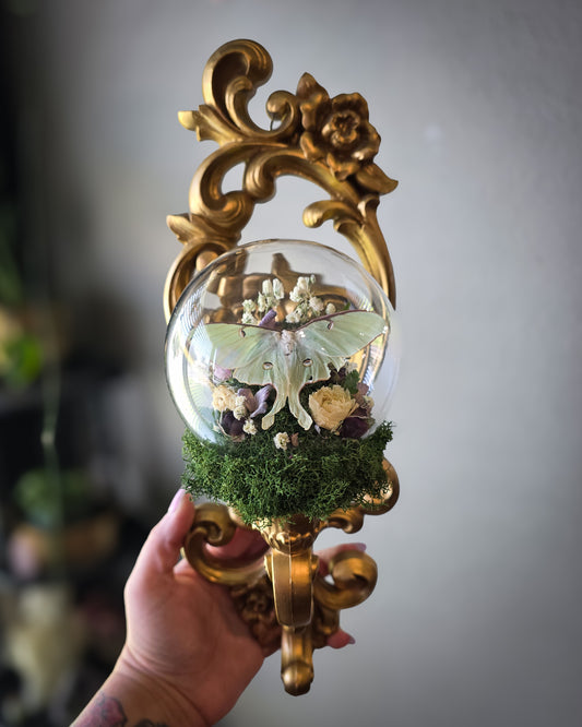 1 Luna sconce