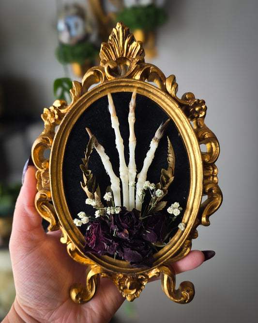 1 Ornate fox paw