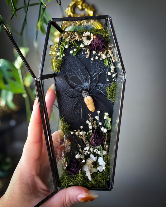 Orb weaver coffin
