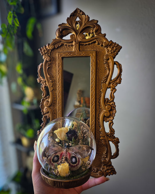 Automeris metzli mirror sconce