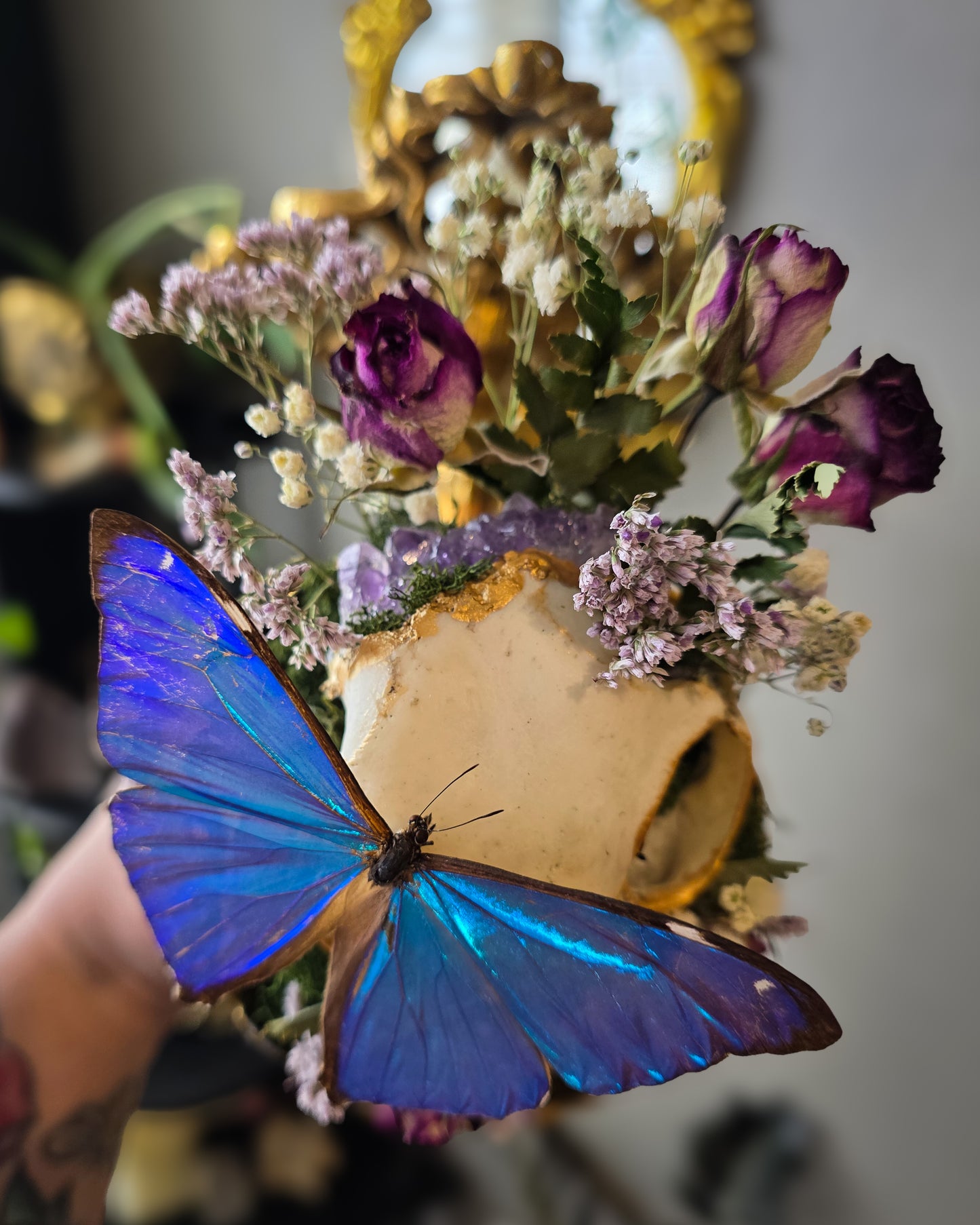 Morpho brass sconce