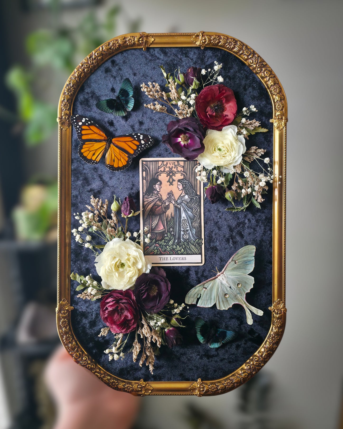Lotr lovers