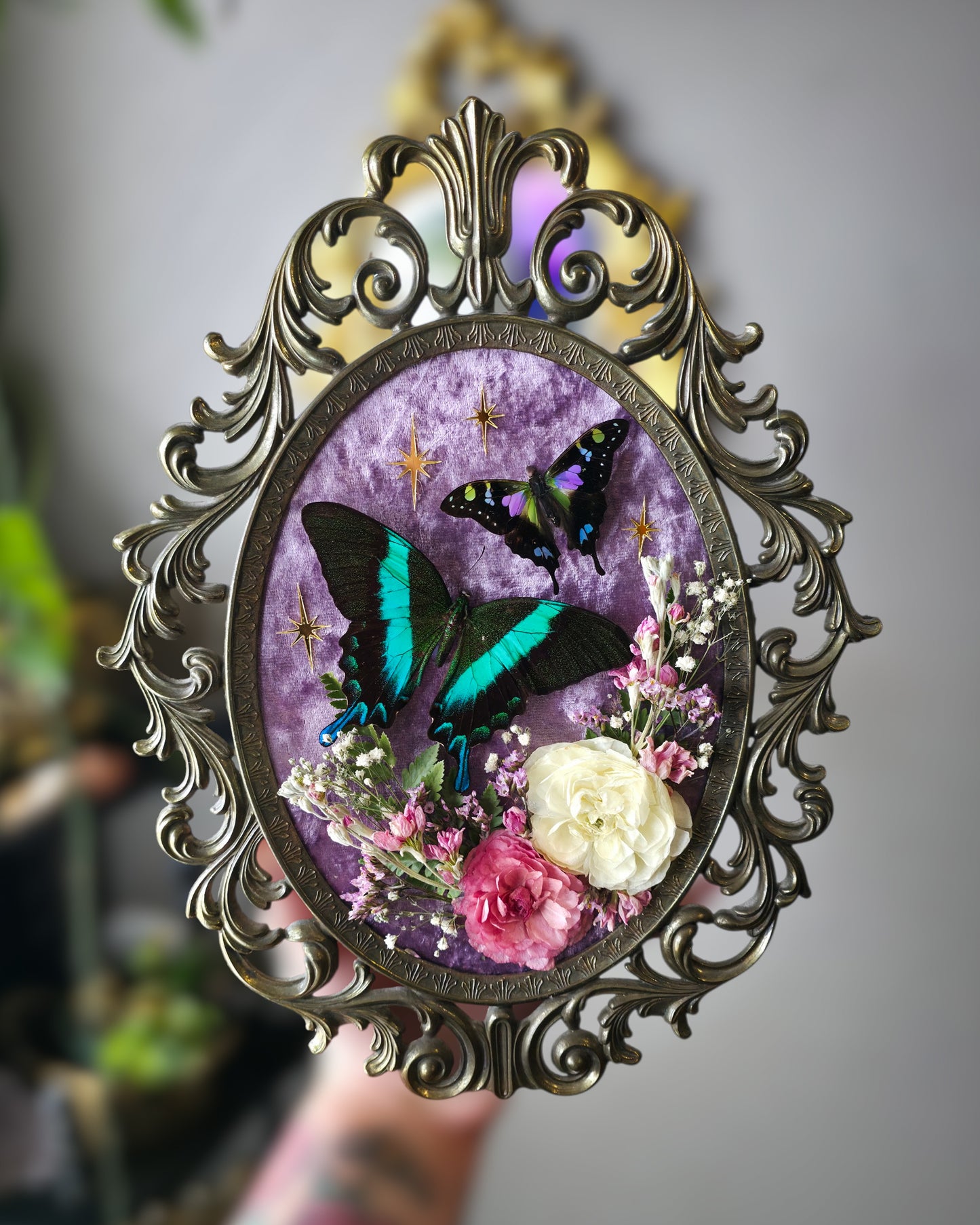 Lavender swallowtails