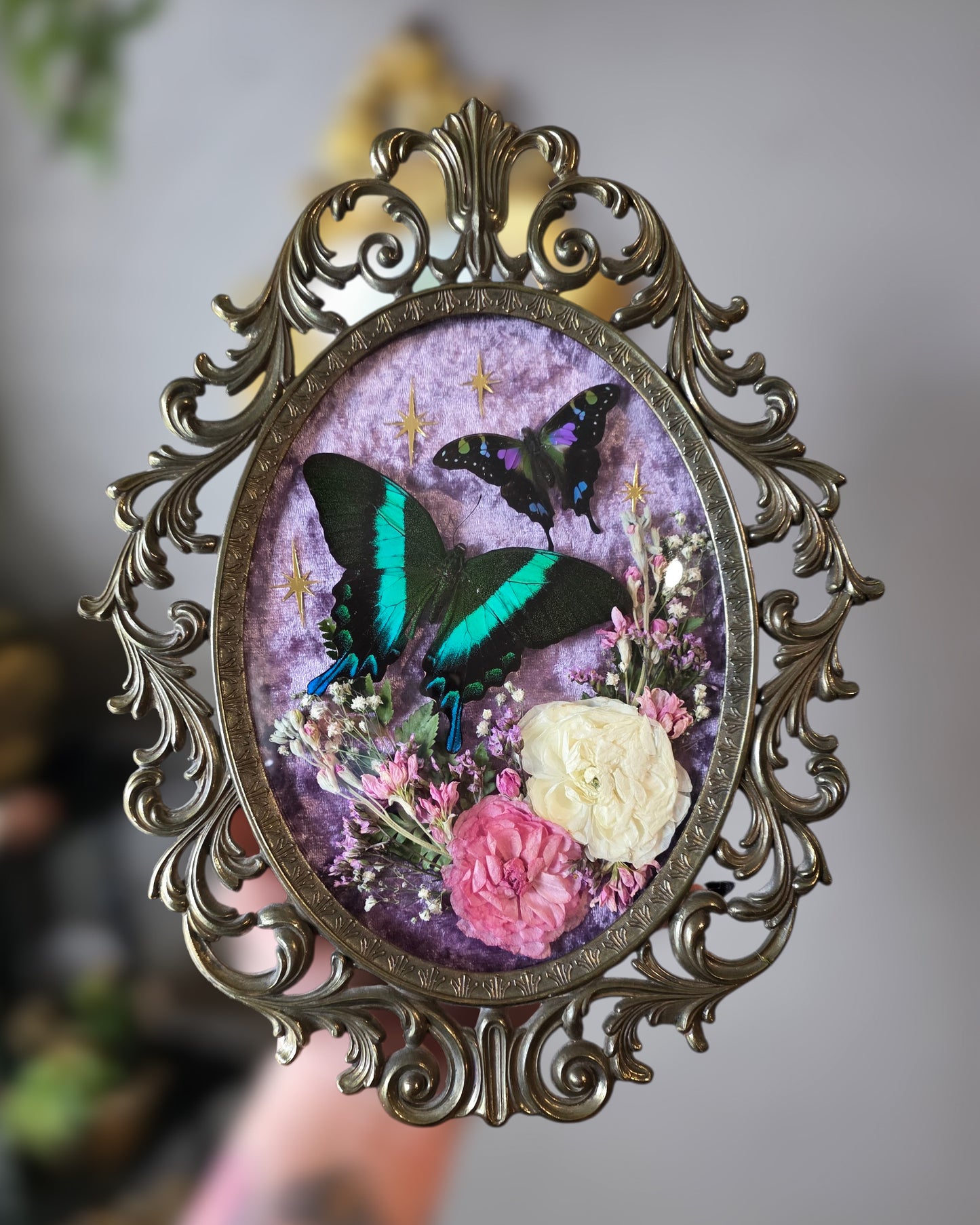 Lavender swallowtails