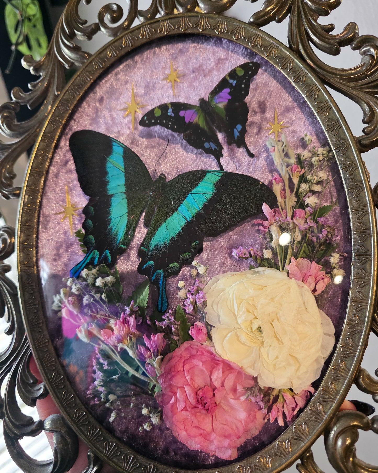 Lavender swallowtails