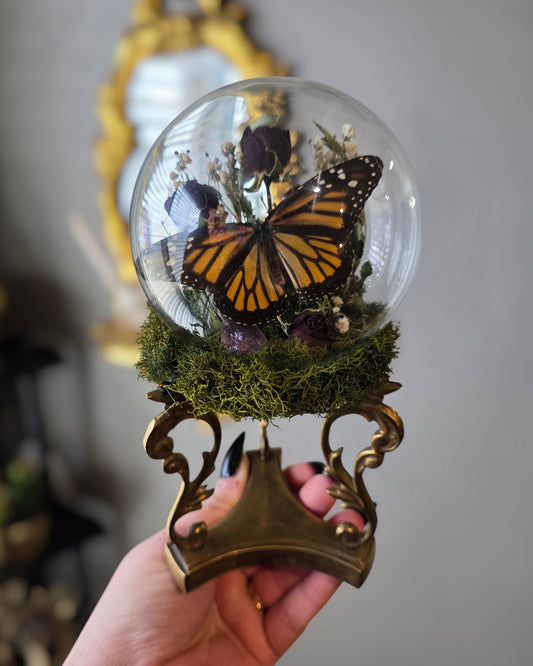 Monarch mini