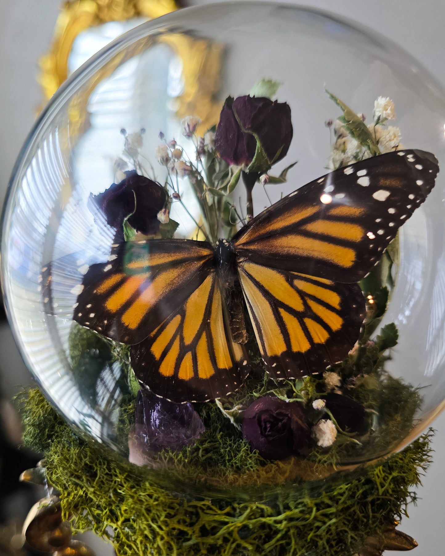 Monarch mini