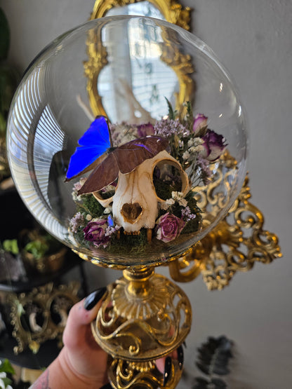 Morpho brass sconce
