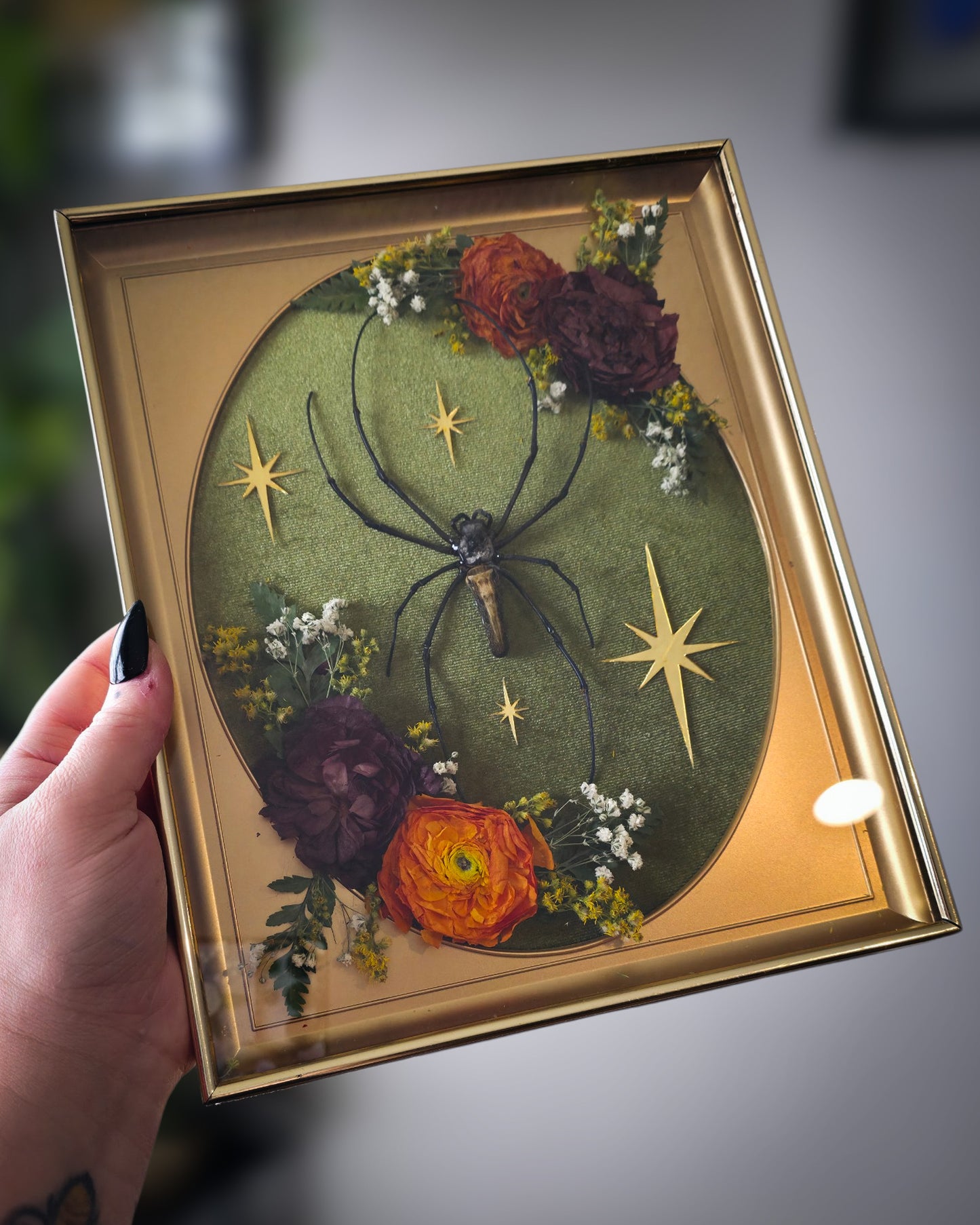 Orb weaver mcm