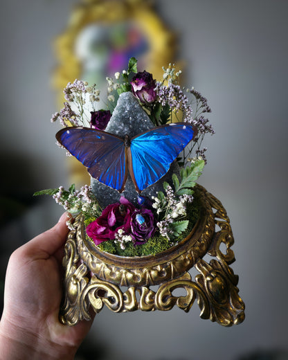 Amethyst morpho globe