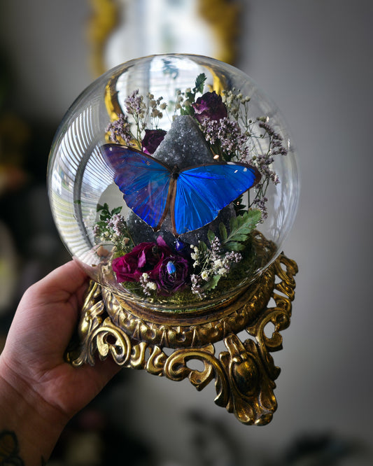 Amethyst morpho globe