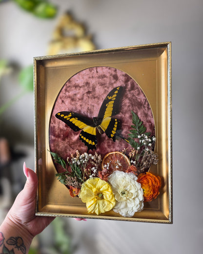 Mcm swallowtail