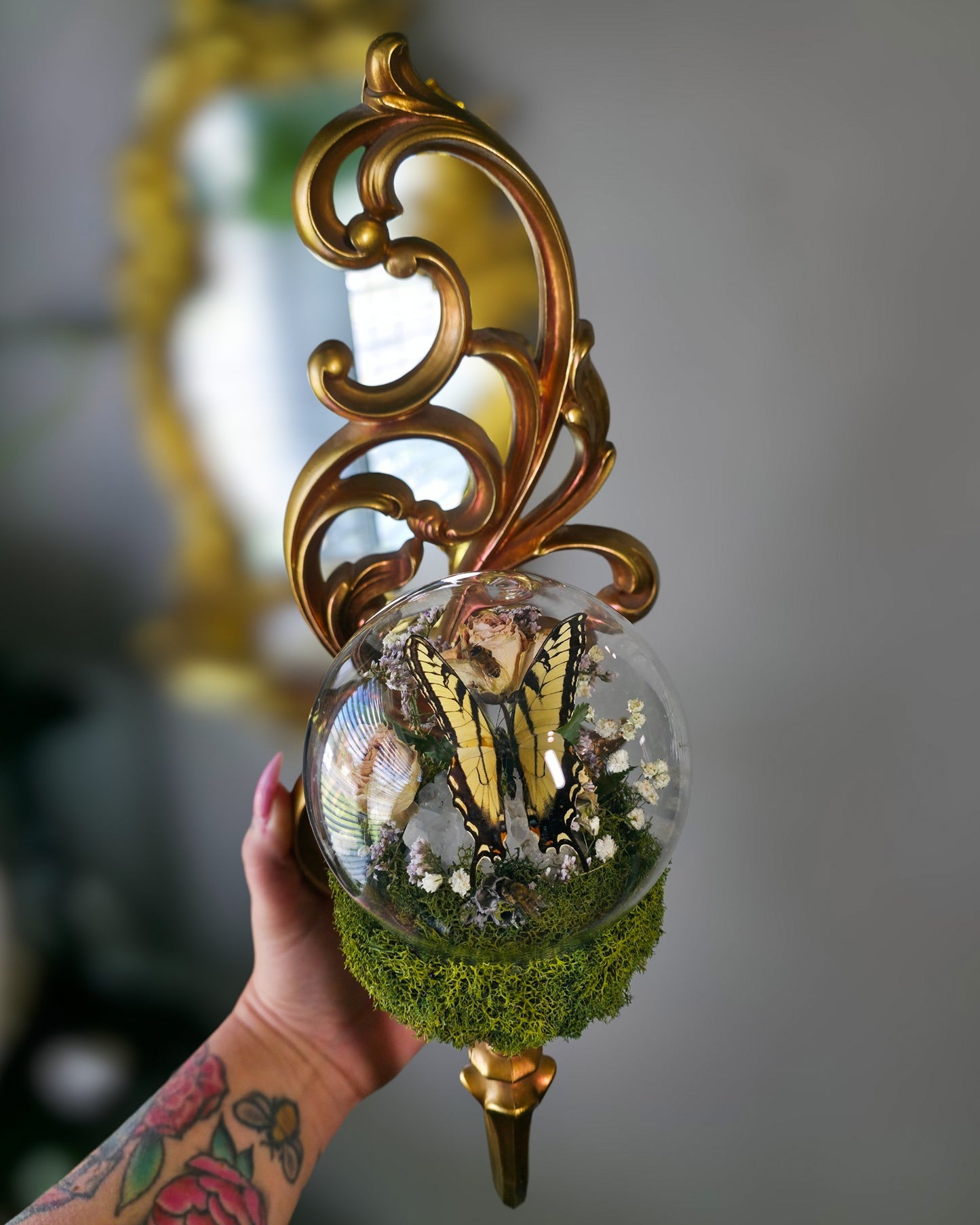 Swallowtail sconce