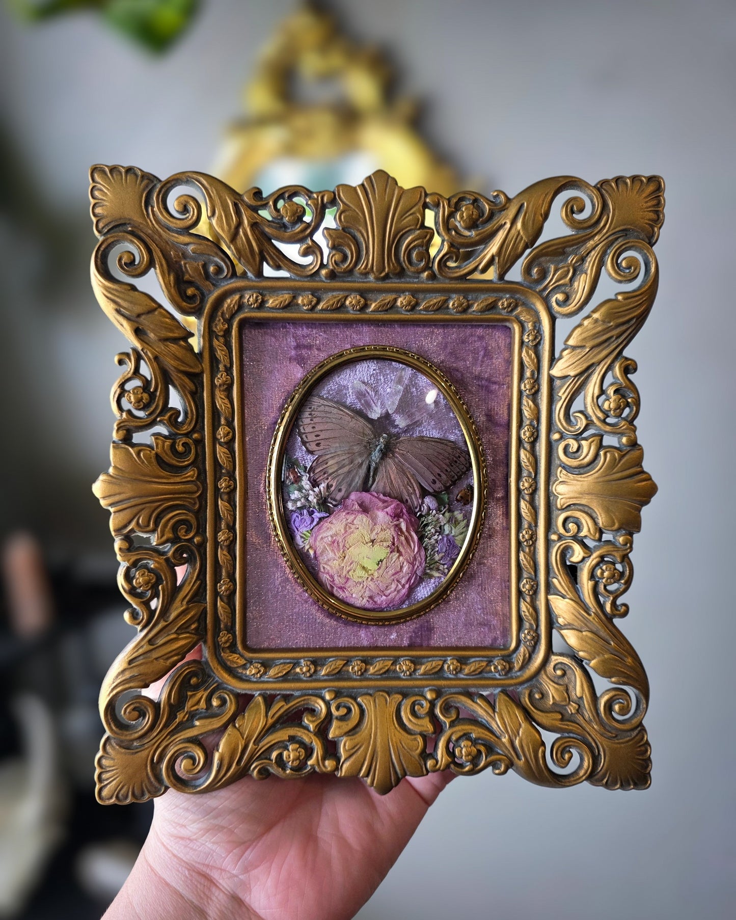 Cameo cutie