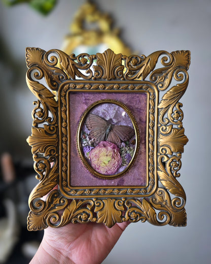 Cameo cutie