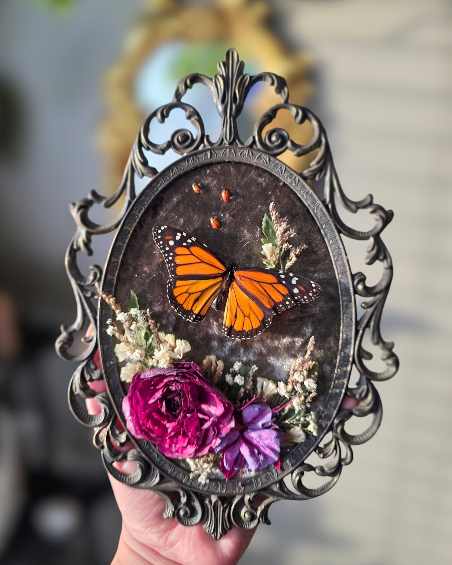 A cheeky lil monarch