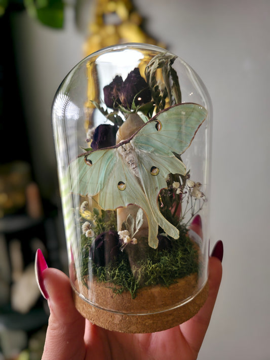 Luna jar