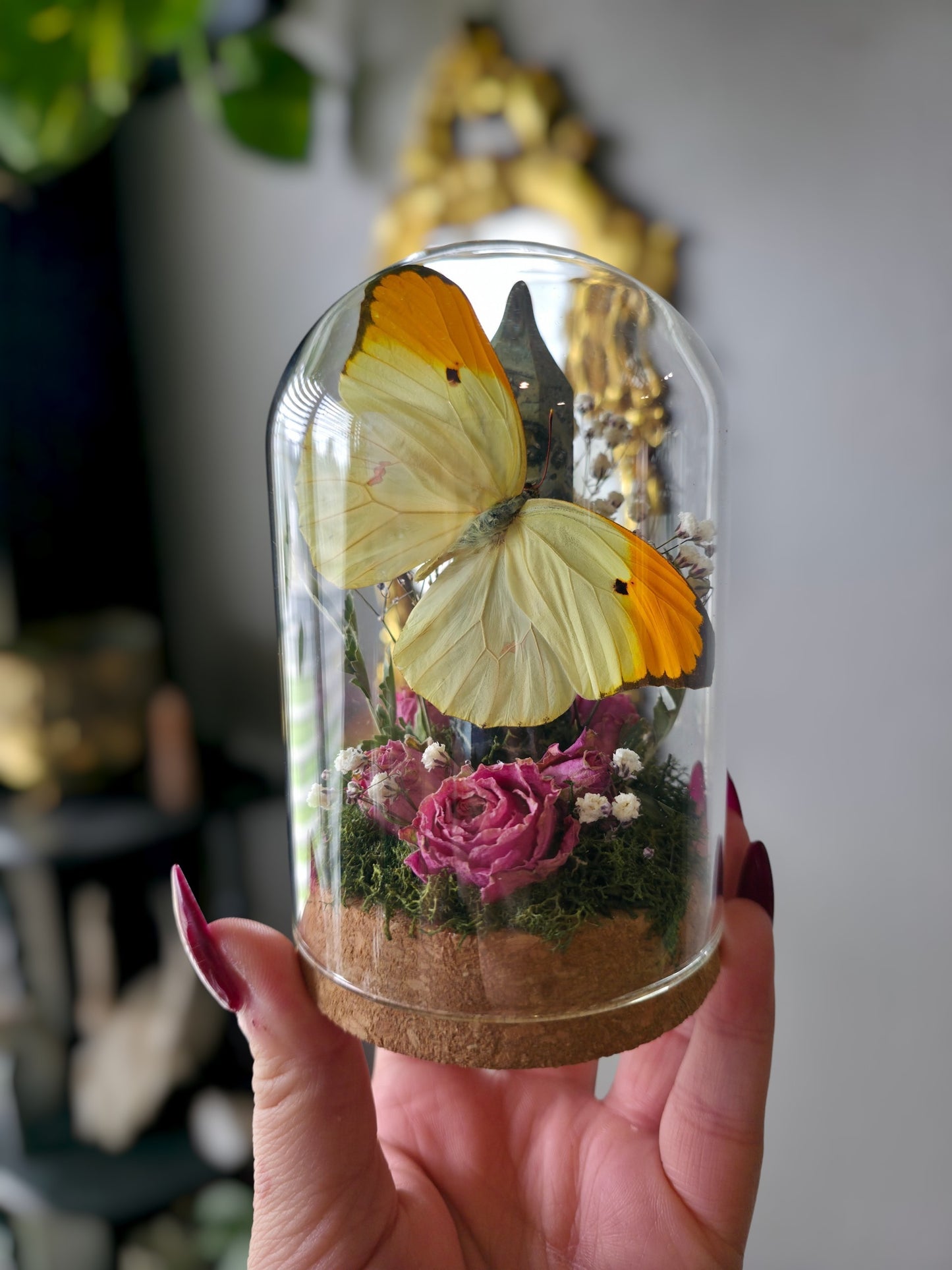 Sulphur jar