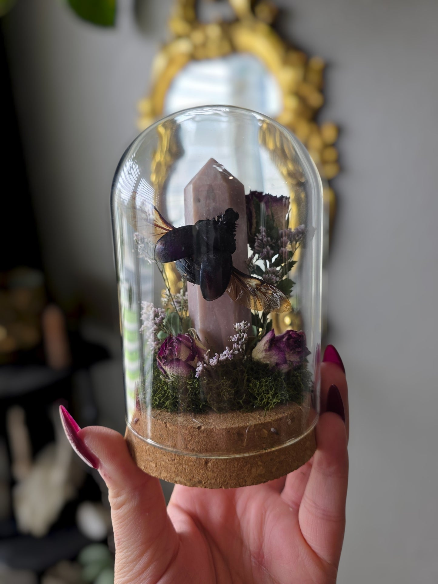 Beetle jar beetle jar beetle jar
