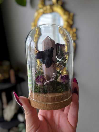 Beetle jar beetle jar beetle jar