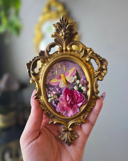 The smollest rosy maple