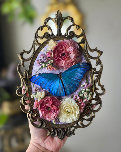 Lavender morpho