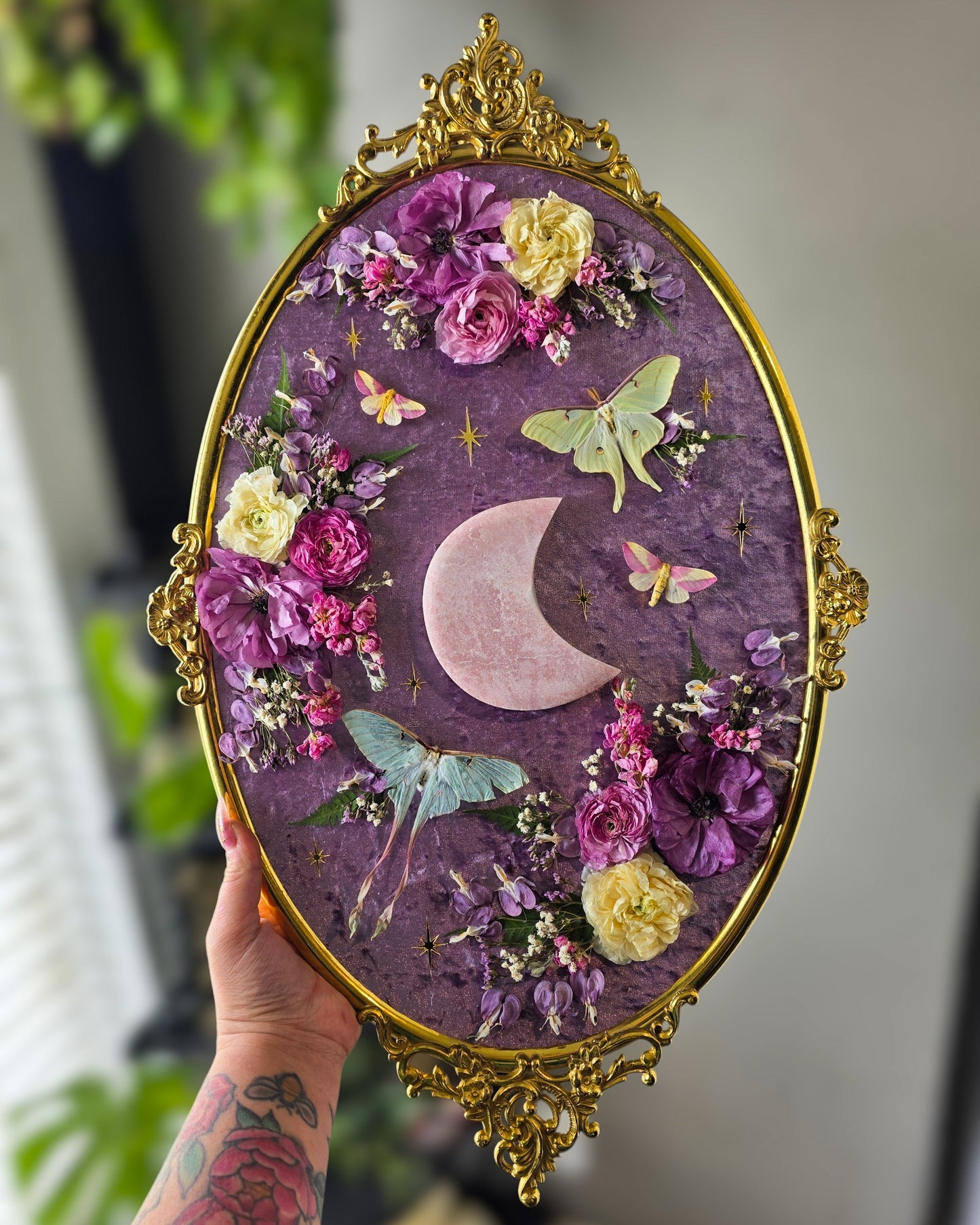 Dub 🌙✨️
