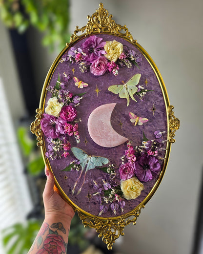 Dub 🌙✨️