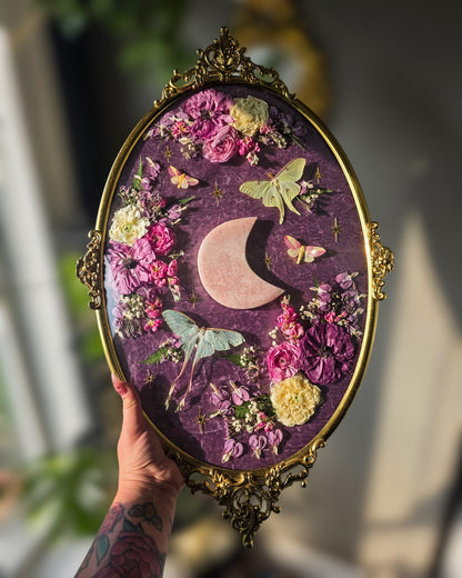 Dub 🌙✨️