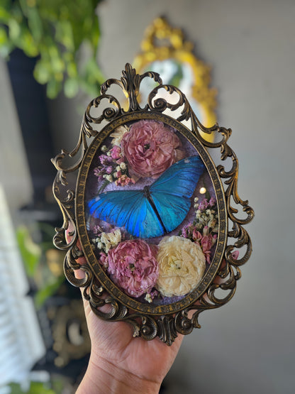 Lavender morpho