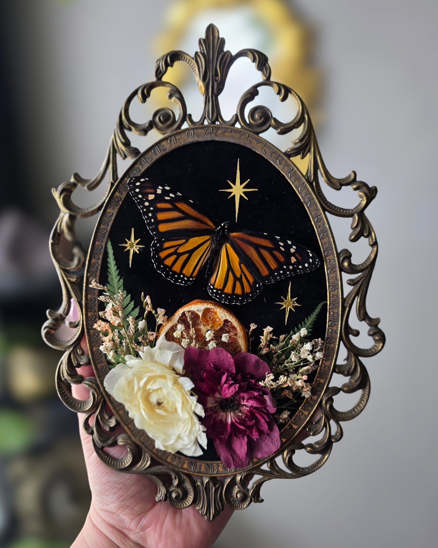 Bb monarch 🍊