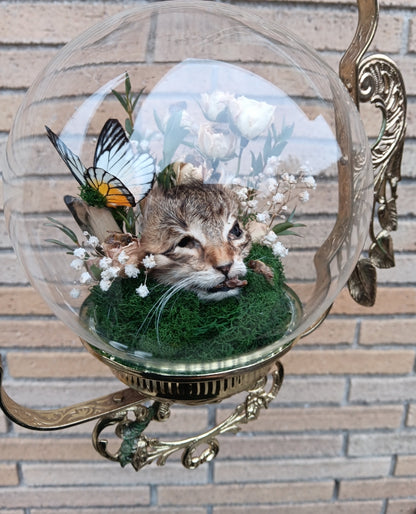 Hanging kitten globe