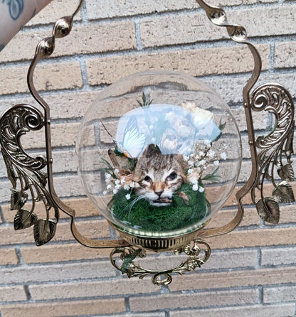 Hanging kitten globe