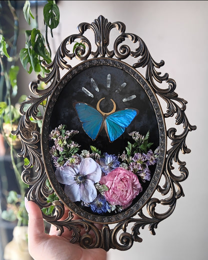 Morpho moon